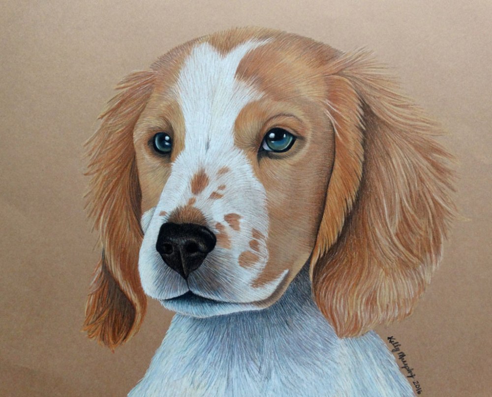 20160108-CockerSpaniel