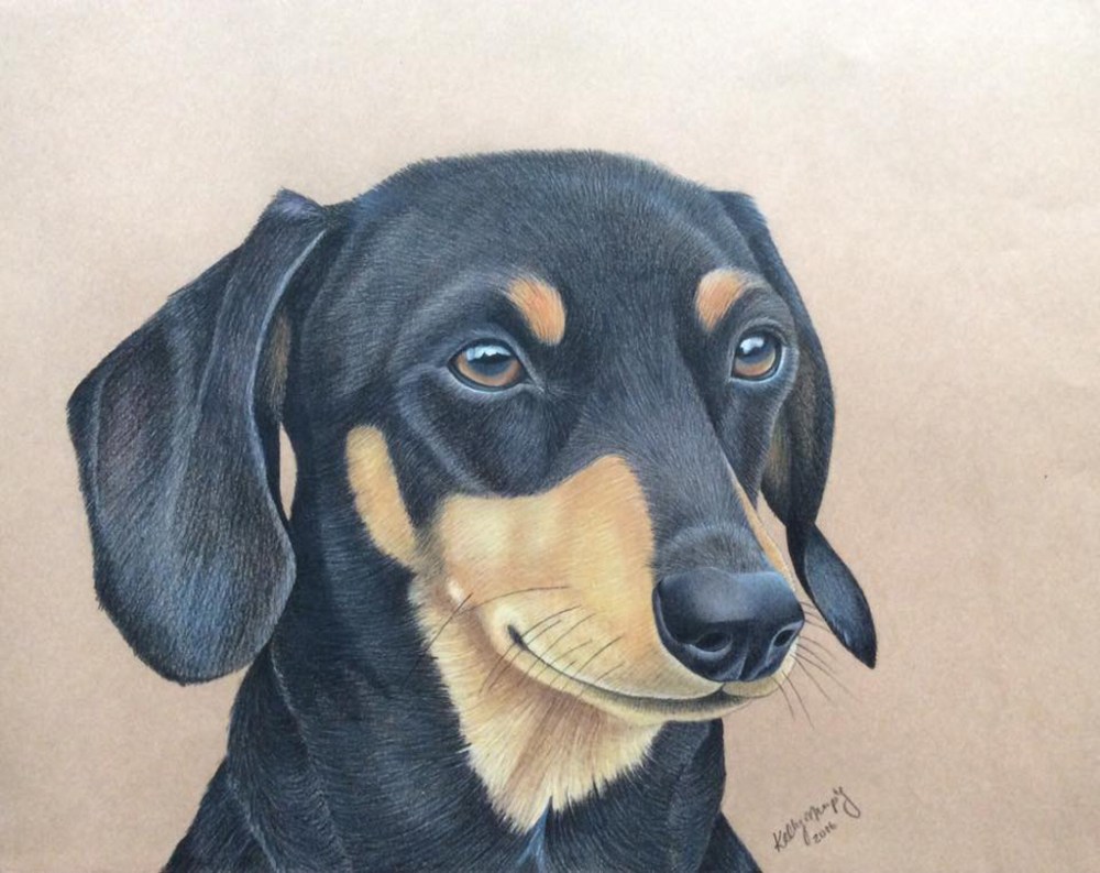20160427-Dachshund