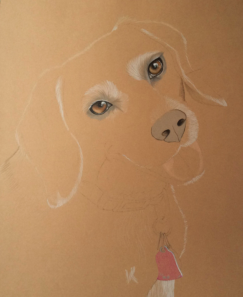 The Daily Progress of a Pet Portrait – Day One (commission)