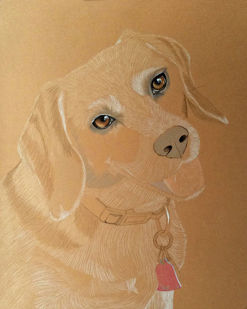 20170421-Penni-Progress2