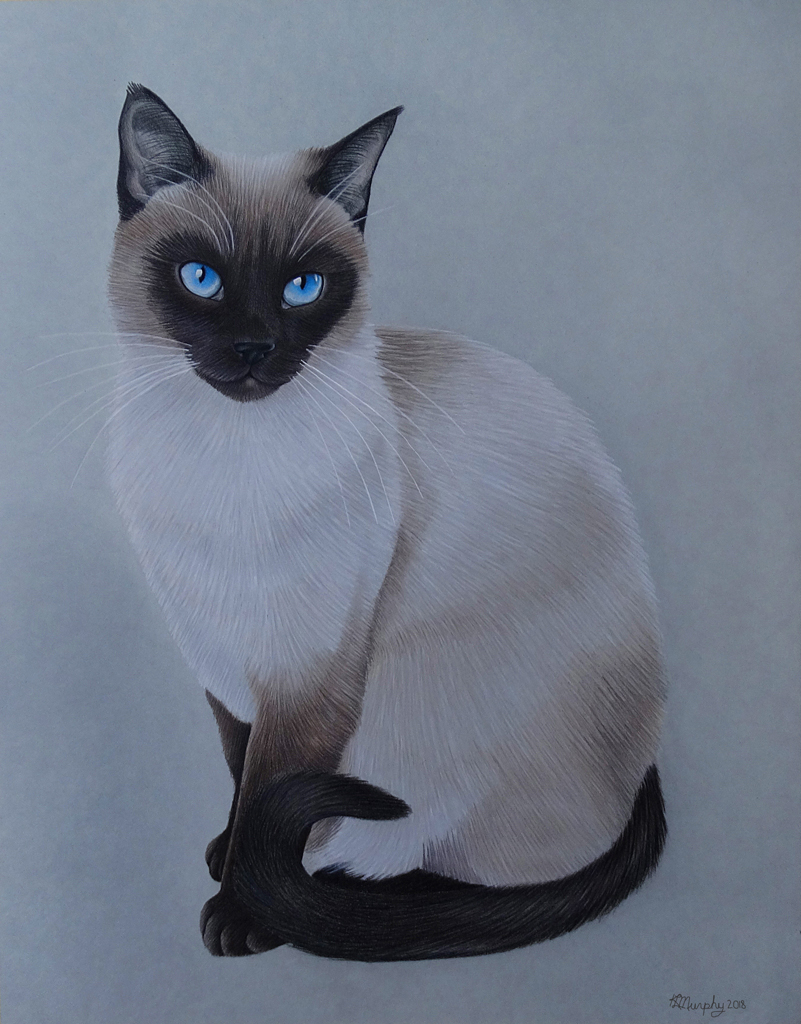 20180111-Siamese