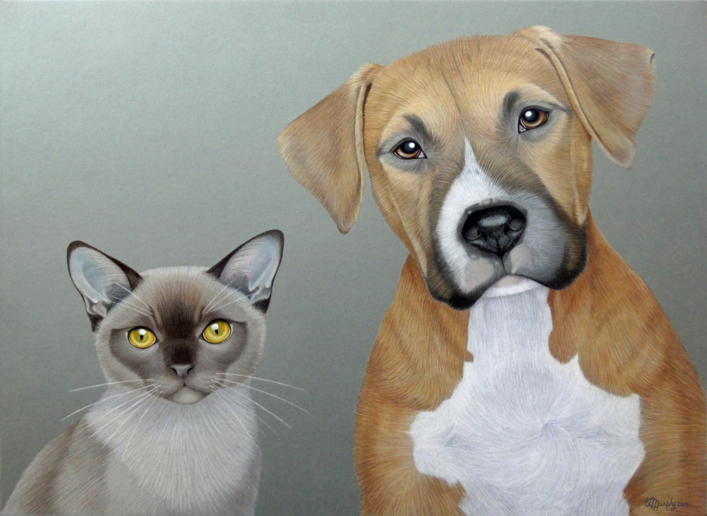 Cat and Dog