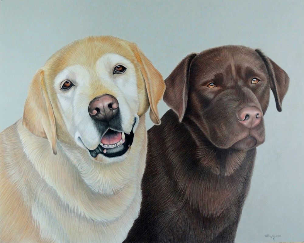 20180719---Harpur-and-Emmat