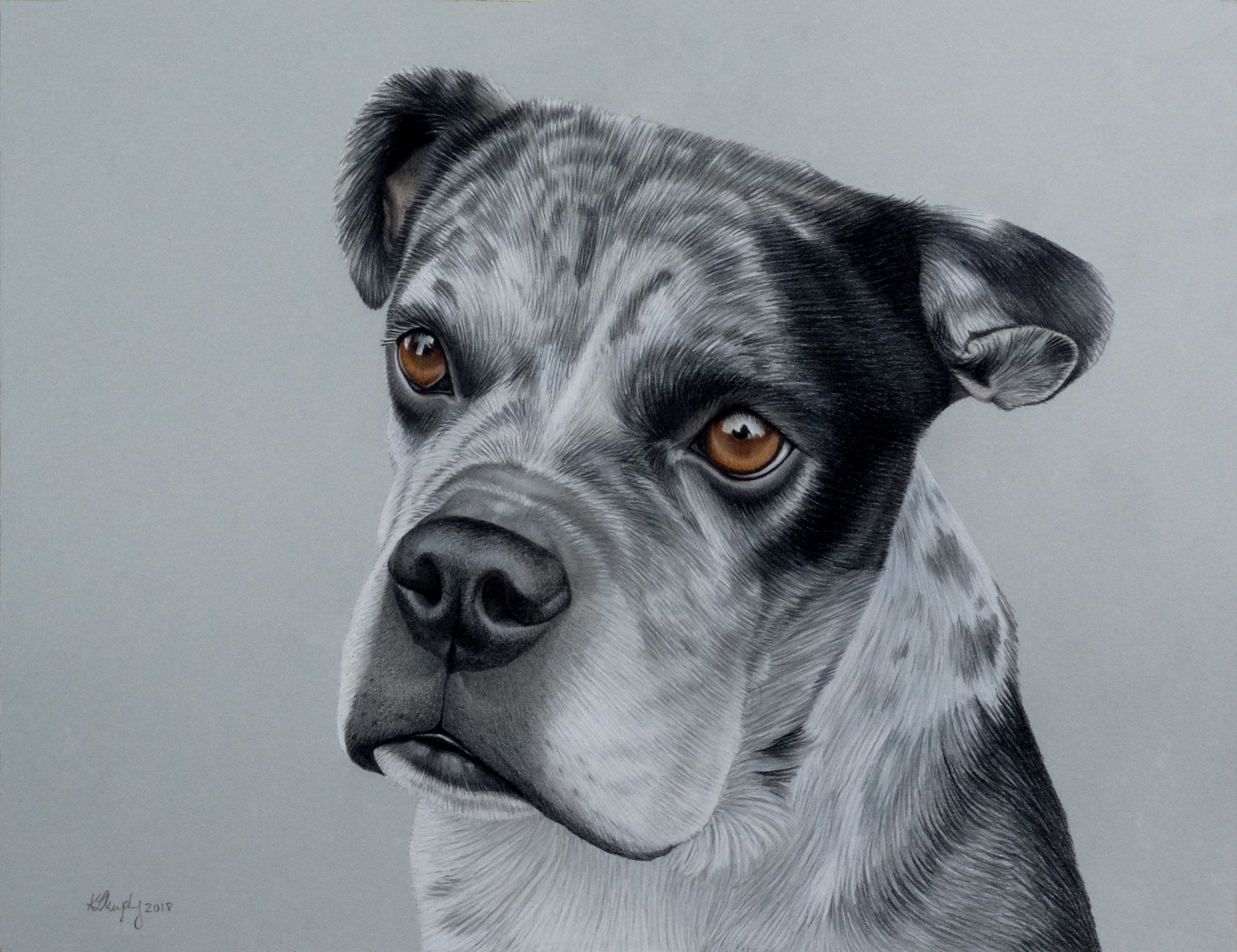 Hendrix (commission)