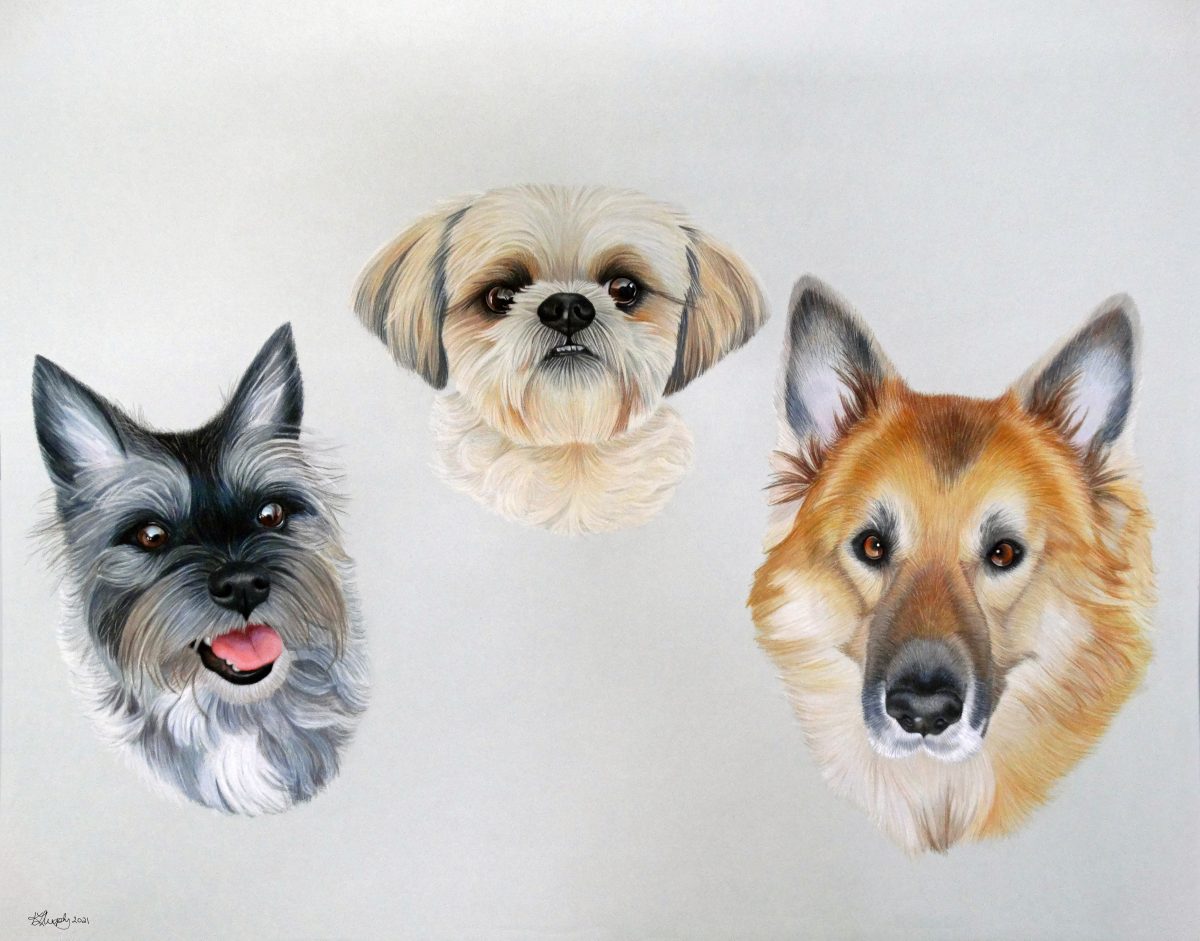 Angus Wallace Bain (commission)