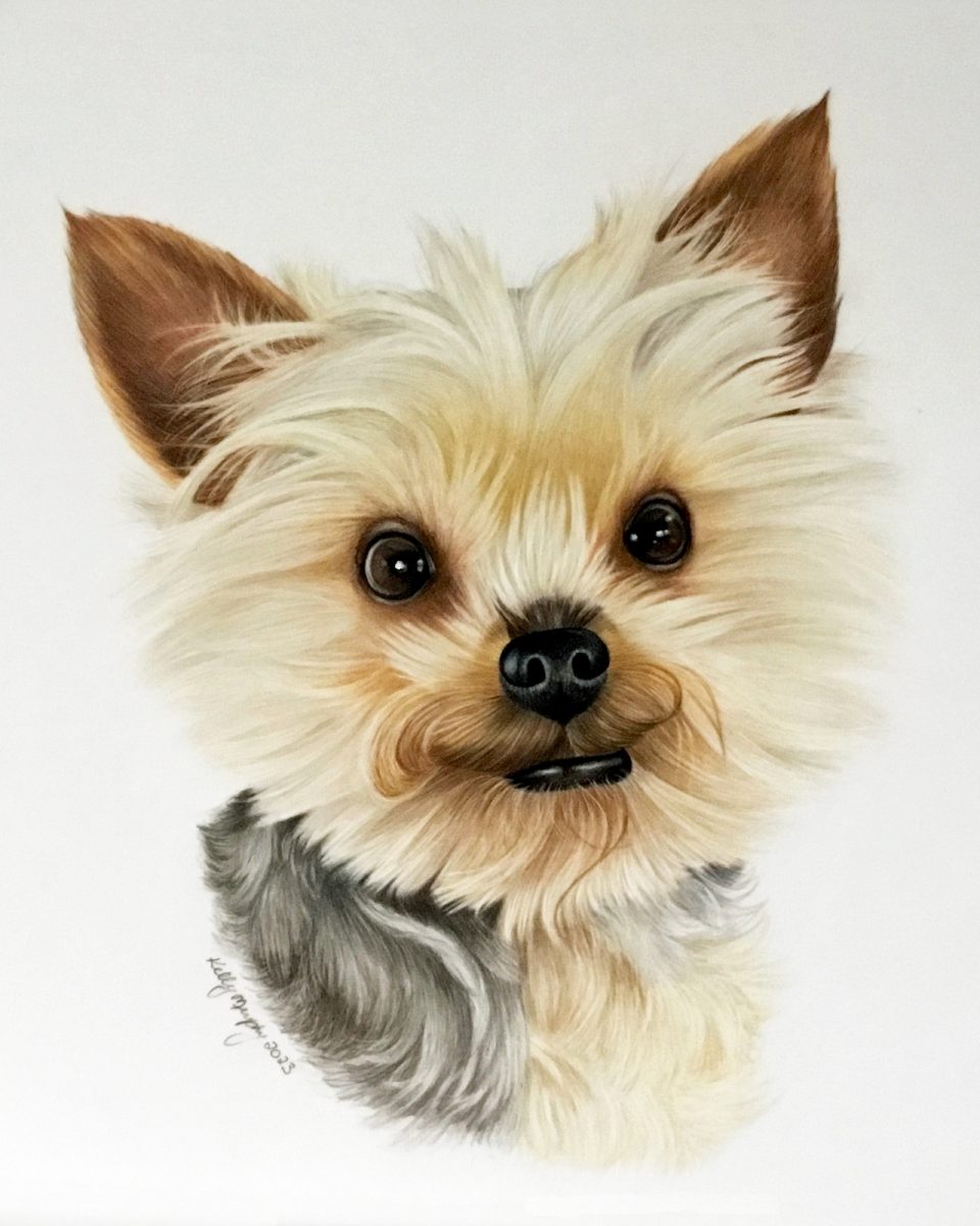 Brooklyn (commission)