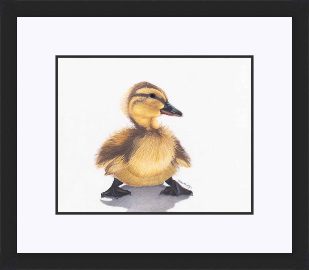 Duckling Won First Prize at Norwich Museum Gallery Juried Art Show