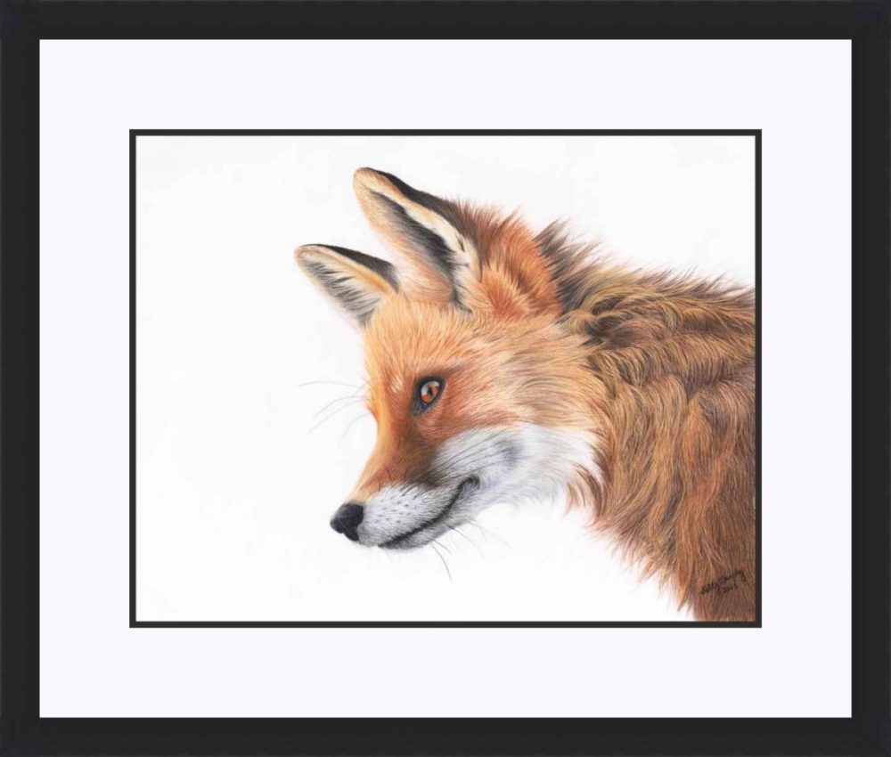 SOLD – Fox on Drafting Film