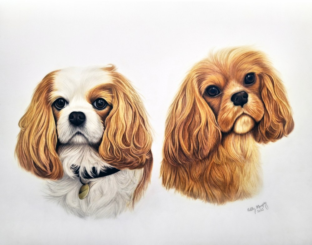 Emmylou and Ted (commission)